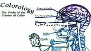 LouddPaackPaul - Colorology