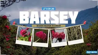 Barsey Rhododendron Trek | Hidden Heaven in Sikkim