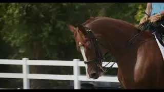 Purina Strategy Healthy Edge Horse Feed