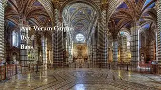 Ave Verum Corpus, Byrd, Bass, Fg, a4
