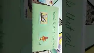 Animals scrap book kids