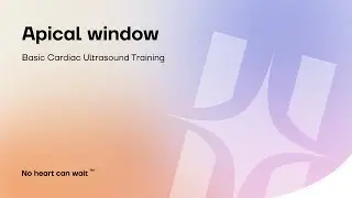 Apical window