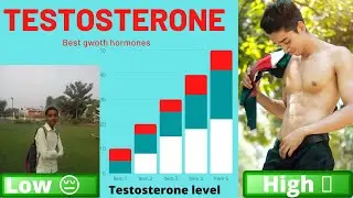 Testasteoron :-Best male Hormones ||Hormone for musscle growth || Growth hormone  Mohit Manori ||