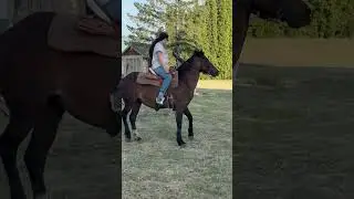 BLM Mustang sidepassing