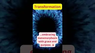 Embrace Your Transformation: A Journey to Self-Discovery. #Transformation 💫#SelfDiscovery 🌌