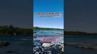 Canada strong pass| free admission to national parks #shortsvideo #shorts #canada #reels #travel