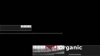 Organic - Tour De Traum XVI