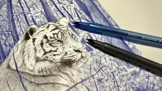 Tiger in the Woods - Ballpoint Pen Challenge