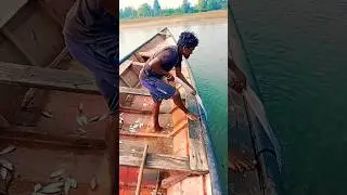 villege #buy#fishing #net 😭🦐😭🐬😭😭