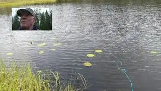 Katiska er&auml;maalampeen.