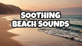24/7 Shinto Shrine Sounds for Relaxation : Reduce Anxiety with Calming Ambient Music 🧘&zwj;♀️🌿
