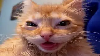 Scary Games Late night stream
