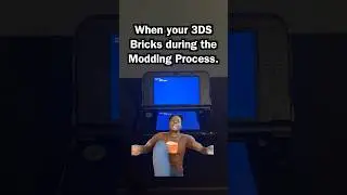 Когда твоя 3DS зависает во время моддинга. #3ds #ishowspeed
