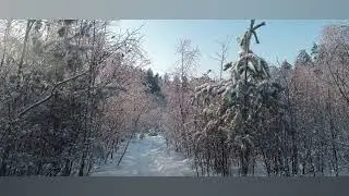 12 января 2026 г.