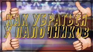 КАК УБРАТЬСЯ У ПАЛОЧНИКОВ