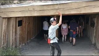 Back to the Coal Mine