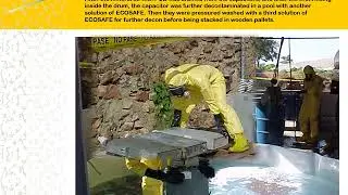 Ecosafeems