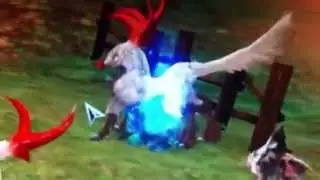 Aion Grankers Gone Wild