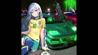 BRAZILIAN DRILL PHONK&Atilde; (T4D4 REMIX)