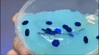 Bitter ASMR live