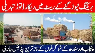 Sugarcane Rate Today in Pakistan | Sugar Mills Latest Update | Big Increase Coming Soon