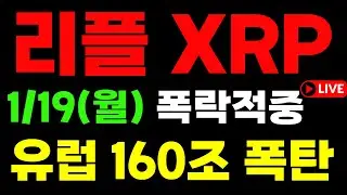 리플 역대급 급락 완벽적중 유럽 미국 무역전쟁 엑시인피니티 베라체인  세이프 비트코인  밥코인 대박코인  #리플 #비트코인