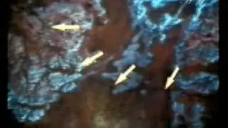 The Lost City of Iram Only Mentioned in Quran