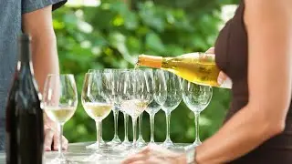 Episodio 13 - Vino Para Principiantes - Vinos blancos alternativos