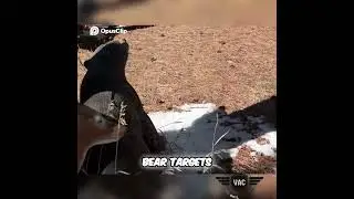 Unique 3D Archery Targets: Valor Archery Challenge Sneak Peek!