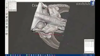 Craneo Mitosaurio 3D Split