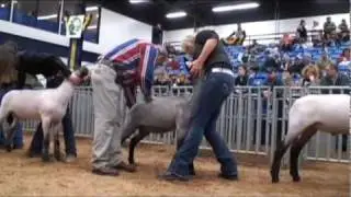 Pennsylvania Farm Show: Market lamb competition