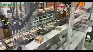 Automatic robot hand feeding and packing system | Secondary packaging | Customized packing line