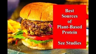 Best Sources of Plant Based Protein - See Studies