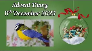 Advent Day 11 | Morning Chat with Bird Facts & Knitting Updates