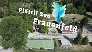 Pl&auml;ttli ZOO aus der Luft / DJI mini Switzerland / Frauenfeld / 8500 / Zoo / Kanton Thurgau