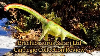 Brachiosaurus Safari Ltd Carnegie collection Review