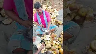 💥🤯 Amazing Nungu Cutting Skills 💢⁉️ #nungu #palmfruit #iceapple #summerfruits #vendumvlogs #shorts