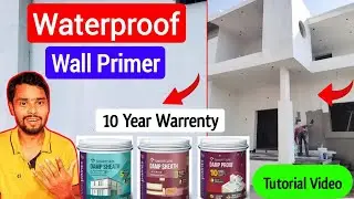 Which Is The Best Wall Primer For Wall | Asian Paints Damp Sheath Wall Primer