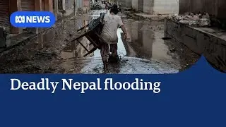 Nearly 200 dead in Nepal after massive flooding and landslides | The World