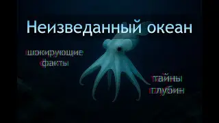 Неизведанный океан: открытия 2025 года!