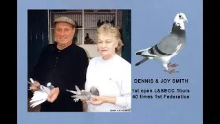 Video 492: Dennis & Joyce Smith of West Drayton: Premier Pigeon Racers