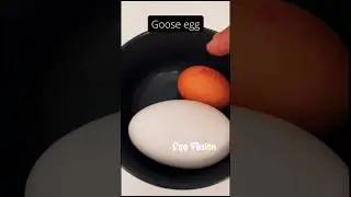 Goose egg / how to prepare omelette egg / how to make masala omelette / masala omelette street food