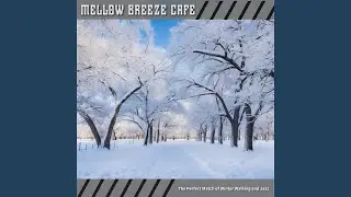 Crisp Winter's Quiet Serenity