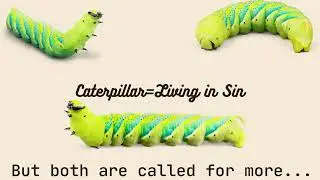 The Transformation of the Butterfly-L1 of the Renewing Bible Study-God's Imminent Family Teaching