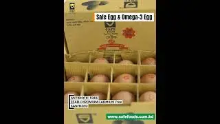 Safe Omega-3 Egg