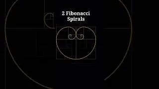 The Beauty of Fibonacci Spiral / Golden Ratio Spiral