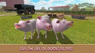 🐷House Pig Adventure Animal Simulator 3D- By Animals Wildlife Studio -Android