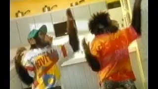 1997 PG Tips Chimps Papas Got a Brand New Pyramid Bag Advert   adjust