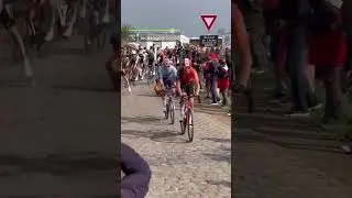 De koers is meer dan wat je op tv ziet. #ParisRoubaix #wielrennen
