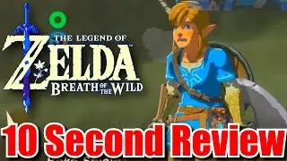 Zelda Breath of the Wild Review 10 Seconds